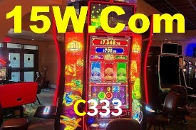 Premium Interface C333