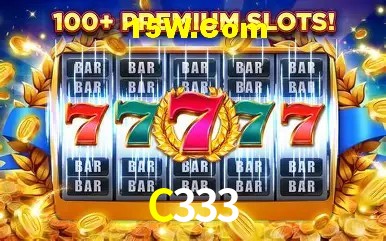 C333 - Support