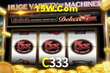 C333 - Security
