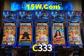 C333 Salvador - Support