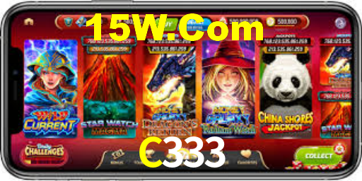 C333