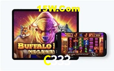C333 São Paulo - Jogo Providers