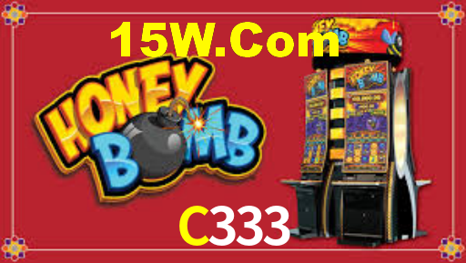 C333